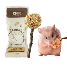 햄스터 이갈이 롤리팝 곡물 야채 사탕 간식 장난감, 2개, 10g