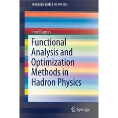 (영문도서) Functional Analysis and Optimization Methods in Hadron Physics Paperback, Springer, English, 9783030189471