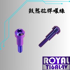 【瘋螺絲】ROYAL鈦合金螺絲 M5*25B 錐形螺絲 幻彩藍, 1個