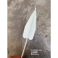 棕櫚葉 乾燥花 造型葉子 花圈設計 歐式花藝, 1個