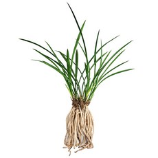 나라아트 동양란 모음