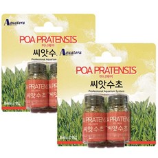 아쿠아테라 미니헤어 중경 씨앗수초8mlX4개(2세트)