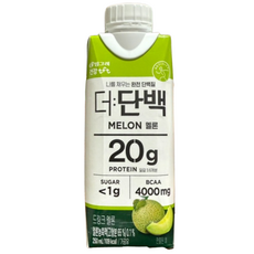 빙그레 더단백 멜론맛 완전 단백질 드링크, 250ml, 1개