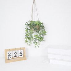 코지웨이브 감성 인테리어 행잉 벽걸이 조화 바구니, 그린, 1개