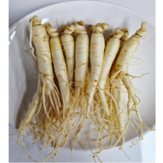 풍기인삼 6년근 수삼 6뿌리 세척수삼 산지직송 신선 삼영인삼사, 1세트, 200g