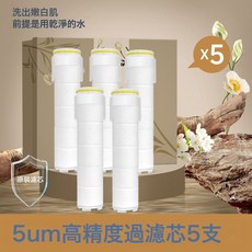 DFMEI 可旋轉花灑噴頭可調節彎頭小戶型家用淋浴頭超強增壓大出水花曬頭, 【替換濾芯】增壓過濾花灑專用濾芯*5:如圖, 1個