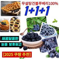 [신선한과일] 특급 무설탕 블루베리 건조과일 무설탕 건블루베리 100% 비타민보충건조블루베리, {신선한과일100g/봉지}*3
