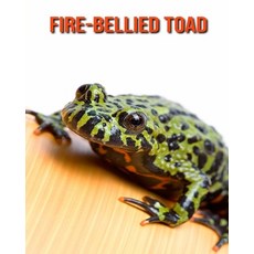 Fire-Bellied Toad: Fun Facts & Cool Pictures Paperback, Independently Published, English, 9798564357180