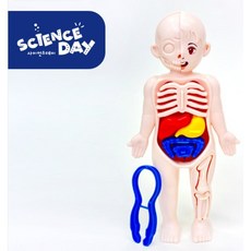 [사이언스데이] 우리의 몸, 1개