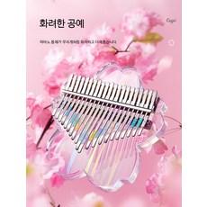 21노트 칼림바 아크릴 악기 초보자용 휴대용 손가락 피아노 배우기 쉬운 투명 크리스탈 음비라 선물용 입문용칼림바 예쁜 디자인, 1개