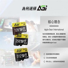 AGi Supreme MicroSDXC A2 V30 256GB 記憶卡, 1個, 1GB