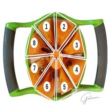 슬우네Pick 과일커팅기 키친툴