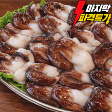 [마지막시즌특가] 당일조업 특품 손질 새조개 여수직송, 1세트, 생물 새조개 500g