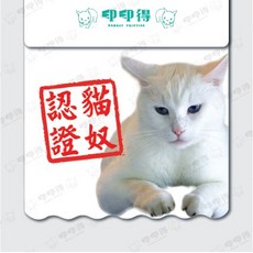 寵物系列擋泥板, 1個