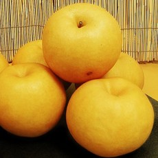 대통령상 수상 나주신고배 7.5kg(14~17과)가정용/일반박스, 푸르젠 대통령상 수상 나주신고배 7.5kg(14~17과, 1개