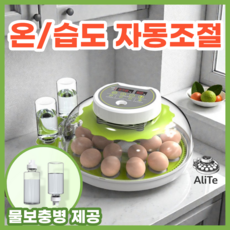 알리트 병아리 자동 부화기 온도조절기 가정용 계란 소형, 1개, 그린 12알
