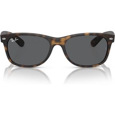 Ray-Ban (레이반) Rb4260d 스퀘어 선글라스