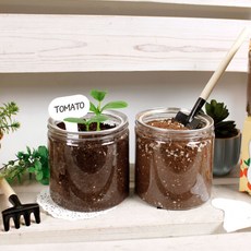 식물재배키트 이지그로우 바질 고수 딸기 방울토마토, 05루꼴라