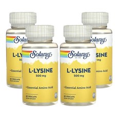 솔라레이 L-라이신 500mg 60베지캡슐, 1캡슐, 4개, 60정
