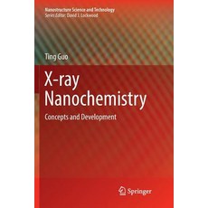 X-Ray Nanochemistry: Concepts and Development Paperback, Springer