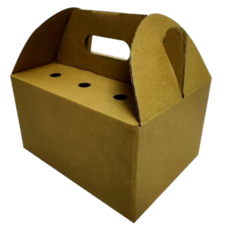 X-02烤雞箱25.X19X14公分(上方有透氣孔)三層手提式B浪禮盒, 1個, 50個, Brown