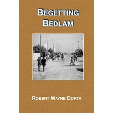 Begetting Bedlam Paperback, Independently Published