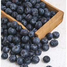 리얼프룻 명품과일 생 블루베리 14-16mm 16-18mm, 6박스, 125g (대과 14-16mm)