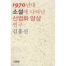 1970년대 소설에 나타난 산업화 양상 연구, 박이정, 김홍신 저