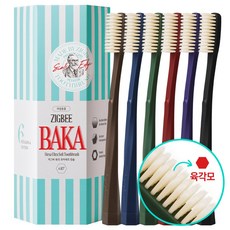 지그비 6면 입체모 초미세모 부드러운 빅헤드 칫솔 6개입, 1세트