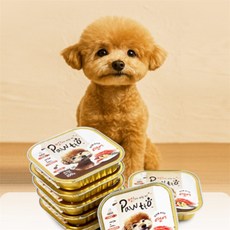 오늘의줍줍 강아지용 연어통조림 반려견