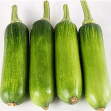 [밋앤밀] 국내산 애호박 인큐애호박 특품 5개, 단품, 단품