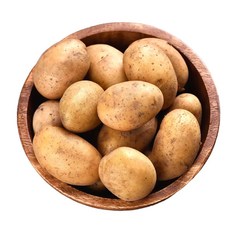 햇 생 감자, 1개, 햇 감자 5kg 중(50-80g)