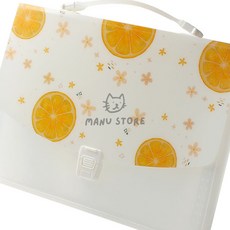 [오마누] 투명화일 도큐먼트화일 포켓파일 도큐먼트 파일백 3p세트 13칸 레몬