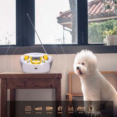 살림냥 CD플레이어 라디오 씨디플레이어