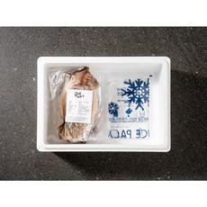 꿈에바다 구룡포 반건조오징어 피데기 원양산 5미 10미, 1개, 대 130g x 5마리 (650g)