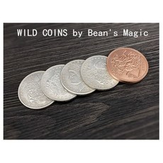 [와일드코인 WILD COINS] 비주얼한 동전의 컬러체인지 입니다., 1개
