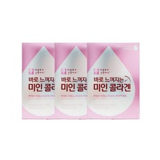 애플트리김약사네 바로 느껴지는 미인 콜라겐 14포, 2g, 42개