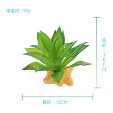 仿真多肉植物 綠植造景 爬蟲飼養佈置, 1個, 可愛多肉DR-13