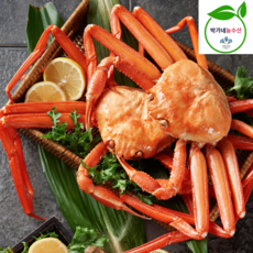 동해안 자숙 박달홍게 제철 대게, 1개, 자숙 박달홍게 S급 3kg(6-7미) 수율90%내외