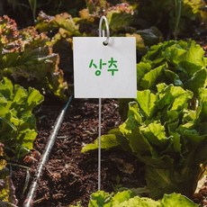 식집사 금속 명찰 거치대 L 사이즈, 없음