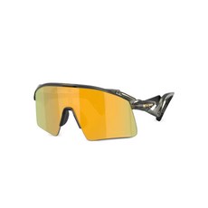 오클리 스턴트 윙 선글라스