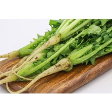 국내산 생열무 아삭한 어린열무 얼갈이 잎채소 1kg, (생)열무 1kg