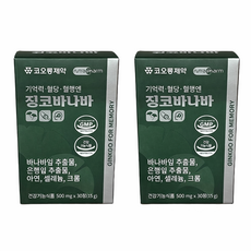 코오롱 혈당 혈행 영양제 징코바나바, 2개, 30정