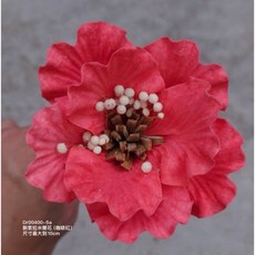 米蘭花索拉花, 咖啡紅