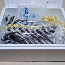 신선해푸드 고성 아야진 2025년 제철 햇 양미리 꾸덕한 해풍 반건조(냉동) 1두름 (20미) 동해 해풍으로 꾸덕하게 말린 겨울철 별미 국산 양미리, 3개, 1두름(20미)