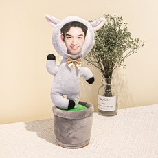 노래하는 춤추는 DIY 인형 크리스마스 커스텀 선물 동물 피규어 생일 얼굴 사진, 1개