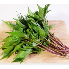 당귀 250g 국내산 잎당귀, 1개