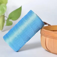 250g/롤 2.5mm 얼음 실크 스레드 여름 셰 뜨개질 원사 DIY 가방 신발 플랫 중공 손으로 짠 용품, 07 Color 32