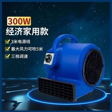 小型家用吹地機 300瓦, 小型普通款自然風300瓦