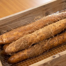 안동 태산농장 2025햇마 장마, 1박스, 2kg (e.장마특품)